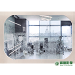 RE02005 性感尤物玻璃貼