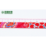 AC03006 變形事件百變尺