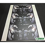 AP01006 精裝書籍封面